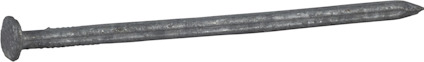 8016189.jpg