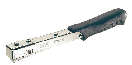 8197880.jpg